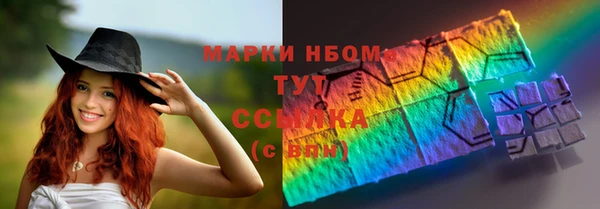 индика Абинск