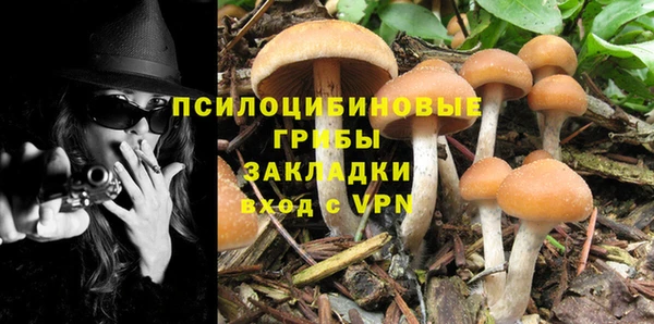 mdpv Алексеевка