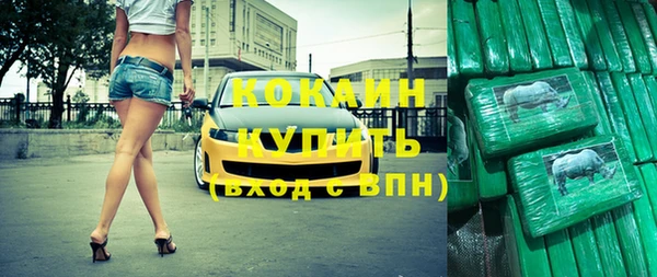 индика Абинск