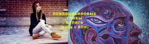 ГАЛЛЮЦИНОГЕННЫЕ ГРИБЫ Алзамай